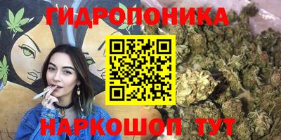 молекула духа Будённовск