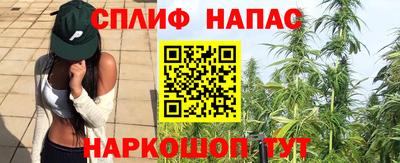 молекула духа Будённовск