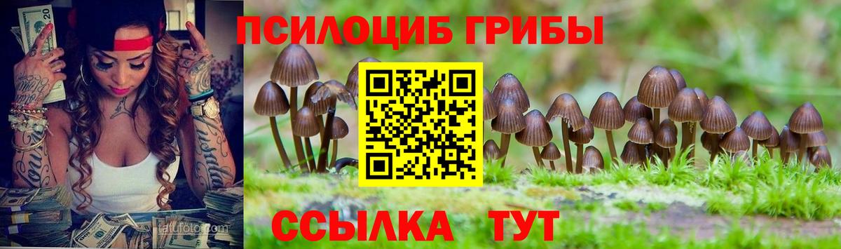 Галлюциногенные грибы Psilocybe Тюмень
