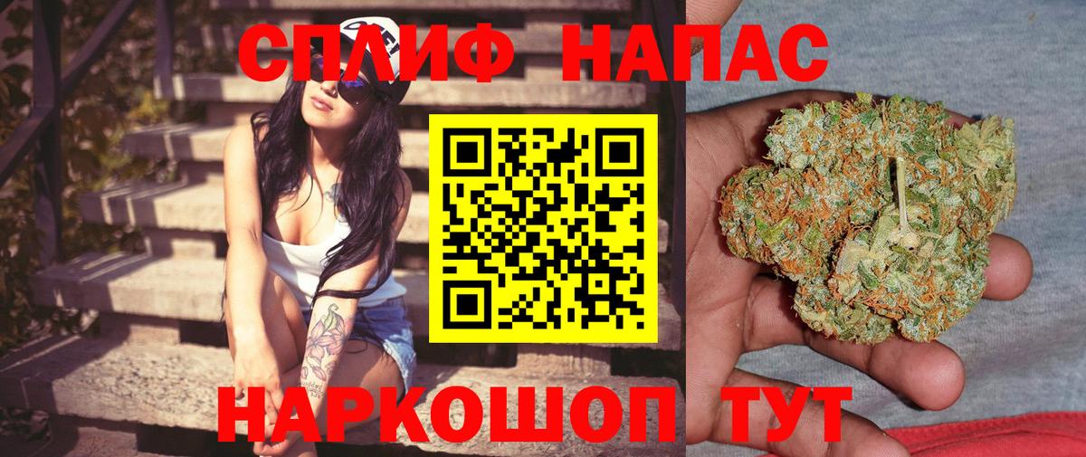 Бошки Шишки ГИДРОПОН Тюмень